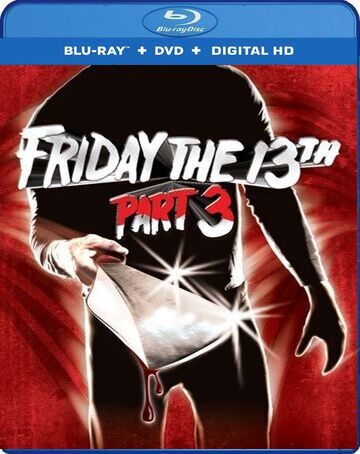 Friday the 13th Part III 1982 BluRay 300MB Dual Audio In Hindi 480p