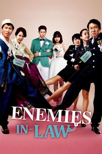 Enemies In-Law (2015) HDRip 1080p 720p 480p Dual Audio Hindi Korean