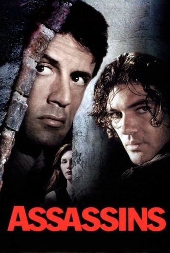 Assassins (1995) BluRay 1080p 720p 480p Dual Audio Hindi English