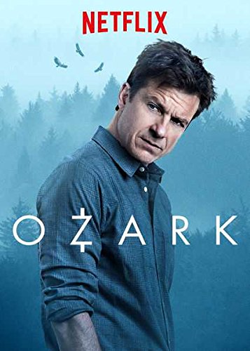 Ozark Season 01 Complete Hindi Dual Audio Episodes HDRip 720p 480p