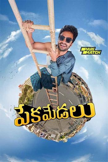 Pekamedalu (2024) Telugu pDVDRip 1080p 720p 480p Full Movie Download