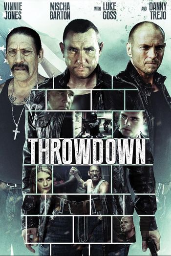 Throwdown (2014) BluRay 720p 480p Dual Audio Hindi English