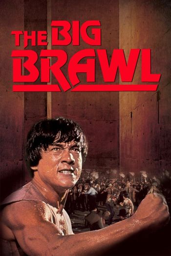 The Big Brawl (1980) BluRay 1080p 720p 480p Dual Audio Hindi English