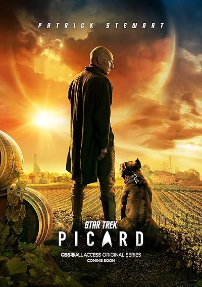 Star Trek: Picard Season 01 Complete Hindi Dual Audio Episodes HDRip 720p 480p