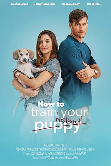 How To Train Your Husband 2017 Dual Audio In Hindi 300MB 480p HDRip