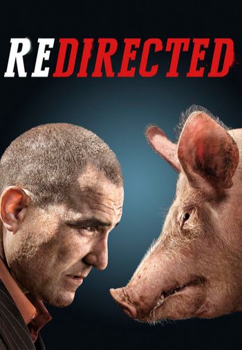 Download Redirected (2014) BluRay 720p 480p Dual Audio Hindi English