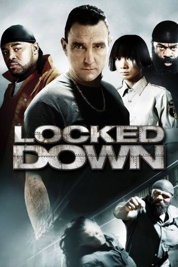 Locked Down (2010) BluRay 720p 480p Dual Audio Hindi English