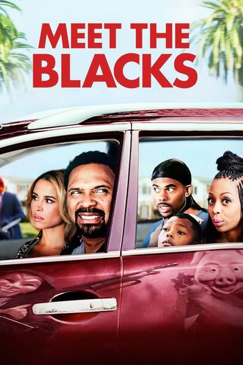 Meet the Blacks (2016) BluRay 1080p 720p 480p Dual Audio Hindi English