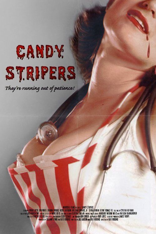 Candy Stripers 2006 HDRip 300MB Dual Audio In Hindi 480p