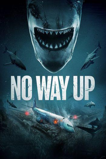 No Way Up (2024) HDRip 1080p 720p 480p Dual Audio Hindi English