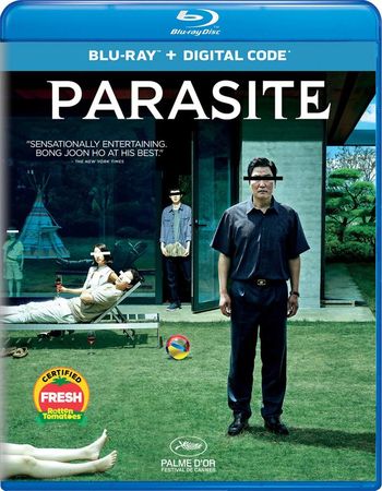 Download Parasite (2019) BluRay 1080p 720p 480p Dual Audio Hindi Korean