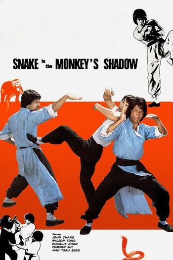 Snake in the Monkey’s Shadow (1979) BluRay 720p 480p Dual Audio Hindi English