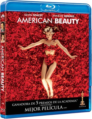 American Beauty (1999) Dual Audio In Hindi 300MB 480p BluRay