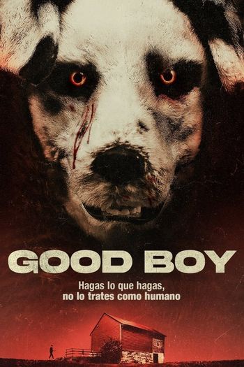 Good Boy (2022) BluRay 1080p 720p 480p Dual Audio Hindi Norwegian