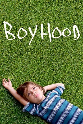 Boyhood (2014) BluRay 1080p 720p 480p Dual Audio Hindi English