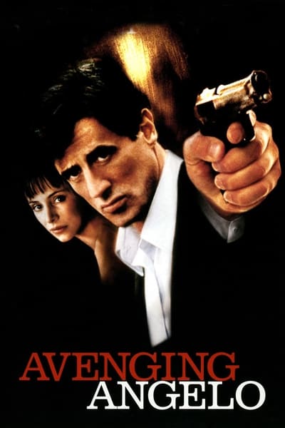 Avenging Angelo 2002 480p HDRip Dual Audio In Hindi 300MB