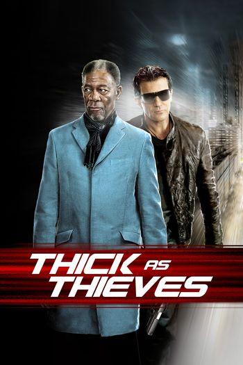 Thick as Thieves (2009) BluRay 1080p 720p 480p Dual Audio Hindi English