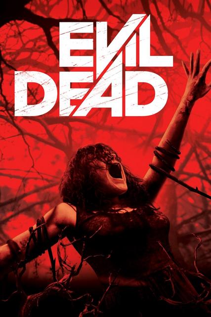 Evil Dead 2013 Dual Audio In Hindi 300MB 480p BluRay