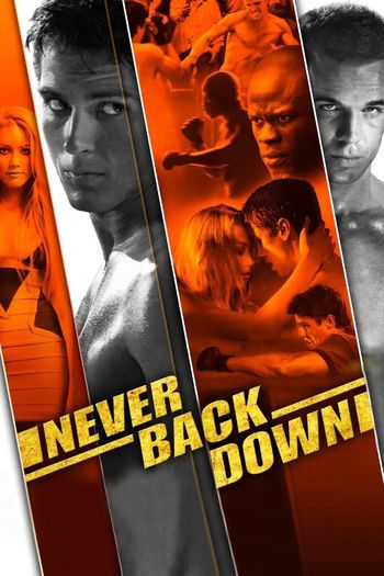 Never Back Down (2008) BluRay 1080p 720p 480p Dual Audio Hindi English