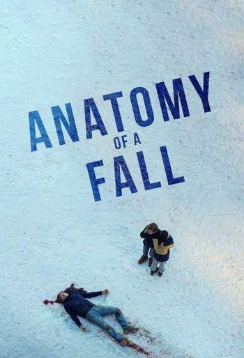 Anatomy of a Fall (2023) BluRay 1080p 720p 480p Dual Audio Hindi English