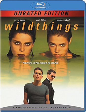 Wild Things (1998) BluRay 720p 480p Dual Audio Hindi English